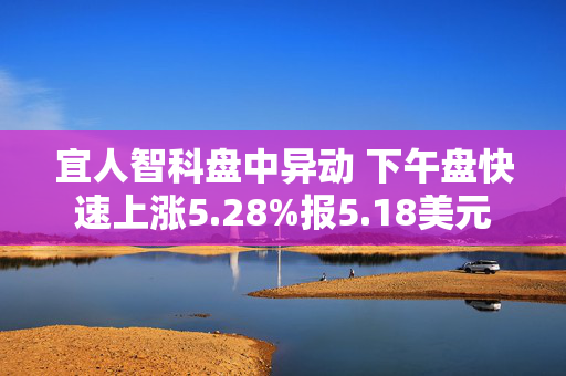 宜人智科盘中异动 下午盘快速上涨5.28%报5.18美元