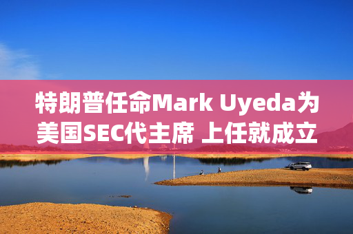 特朗普任命Mark Uyeda为美国SEC代主席 上任就成立加密货币工作组