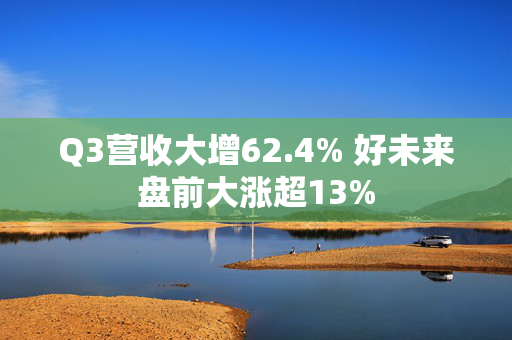 Q3营收大增62.4% 好未来盘前大涨超13%