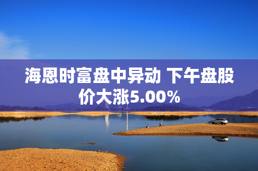 海恩时富盘中异动 下午盘股价大涨5.00%