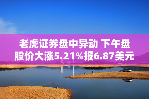 老虎证券盘中异动 下午盘股价大涨5.21%报6.87美元