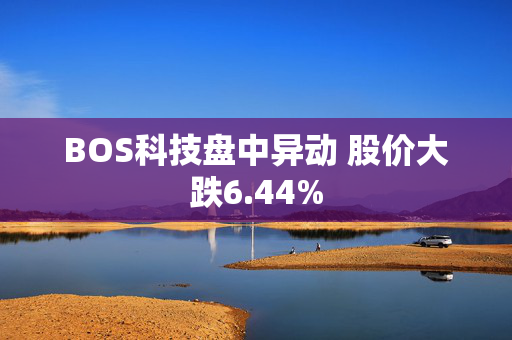 BOS科技盘中异动 股价大跌6.44%