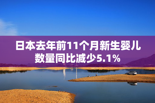 日本去年前11个月新生婴儿数量同比减少5.1%