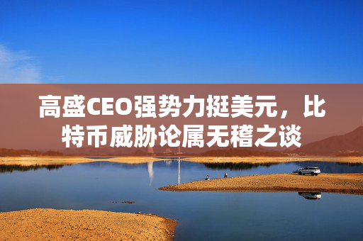 高盛CEO强势力挺美元，比特币威胁论属无稽之谈