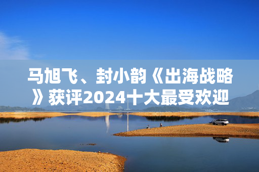 马旭飞、封小韵《出海战略》获评2024十大最受欢迎金融图书