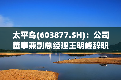 太平鸟(603877.SH)：公司董事兼副总经理王明峰辞职，不在公司担任任何职务