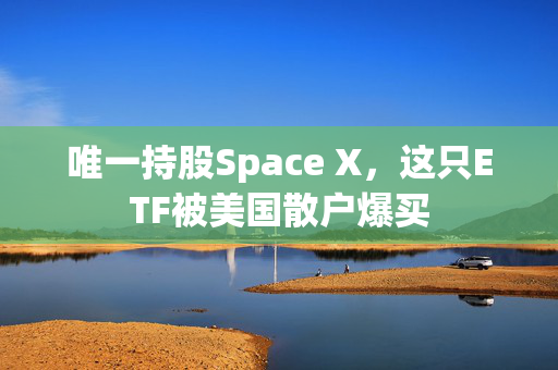 唯一持股Space X，这只ETF被美国散户爆买