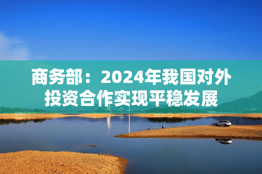 商务部：2024年我国对外投资合作实现平稳发展