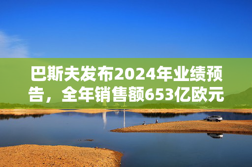 巴斯夫发布2024年业绩预告，全年销售额653亿欧元