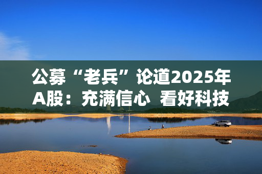 公募“老兵”论道2025年A股：充满信心  看好科技与消费赛道