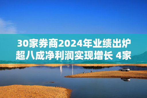 30家券商2024年业绩出炉超八成净利润实现增长 4家超百亿