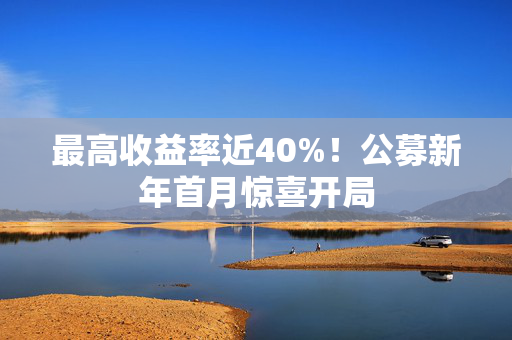 最高收益率近40%！公募新年首月惊喜开局