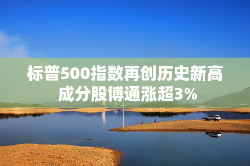 标普500指数再创历史新高 成分股博通涨超3%