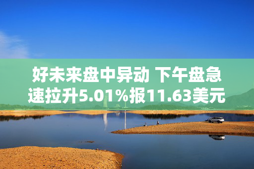 好未来盘中异动 下午盘急速拉升5.01%报11.63美元