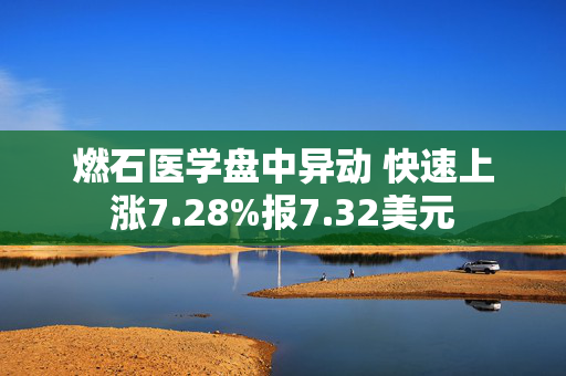 燃石医学盘中异动 快速上涨7.28%报7.32美元