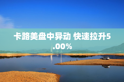 卡路美盘中异动 快速拉升5.00%