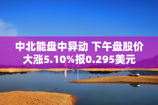 中北能盘中异动 下午盘股价大涨5.10%报0.295美元