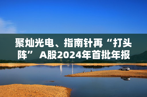 聚灿光电、指南针再“打头阵” A股2024年首批年报亮相