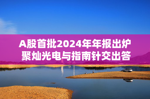 A股首批2024年年报出炉 聚灿光电与指南针交出答卷