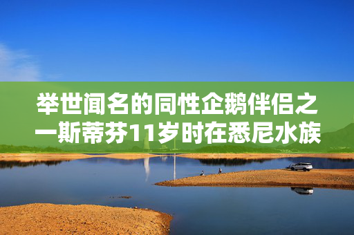 “如果工党能改善我们的生活，那么雷切尔·里夫斯的第一个增税预算就会被遗忘。”