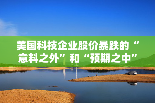 美国科技企业股价暴跌的“意料之外”和“预期之中”