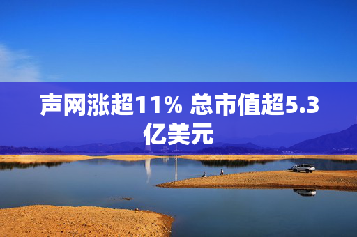 声网涨超11% 总市值超5.3亿美元