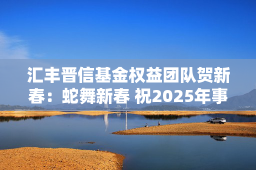 汇丰晋信基金权益团队贺新春：蛇舞新春 祝2025年事事如意，生生不息！