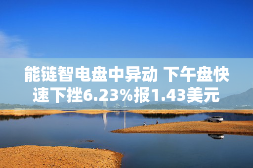 能链智电盘中异动 下午盘快速下挫6.23%报1.43美元