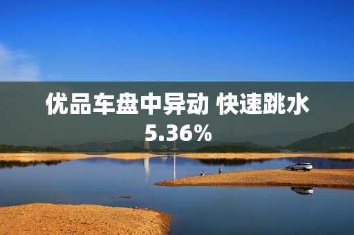 优品车盘中异动 快速跳水5.36%