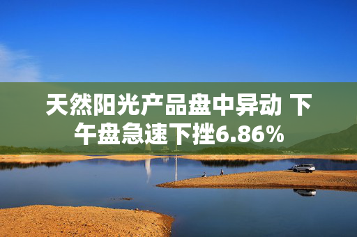 天然阳光产品盘中异动 下午盘急速下挫6.86%