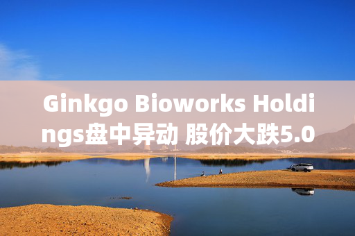 Ginkgo Bioworks Holdings盘中异动 股价大跌5.00%报13.22美元