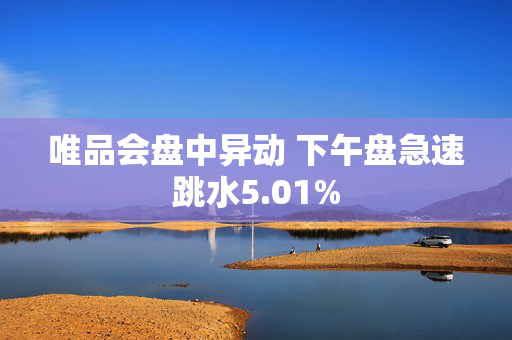 唯品会盘中异动 下午盘急速跳水5.01%