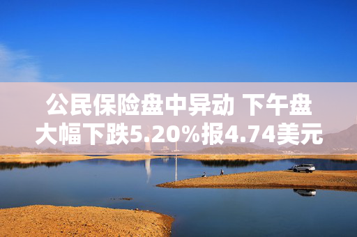 公民保险盘中异动 下午盘大幅下跌5.20%报4.74美元