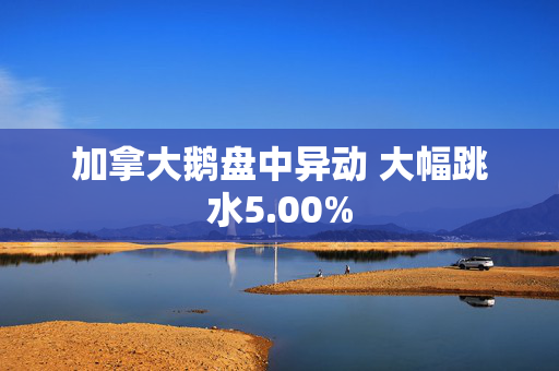 加拿大鹅盘中异动 大幅跳水5.00%