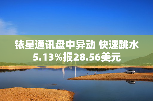 铱星通讯盘中异动 快速跳水5.13%报28.56美元