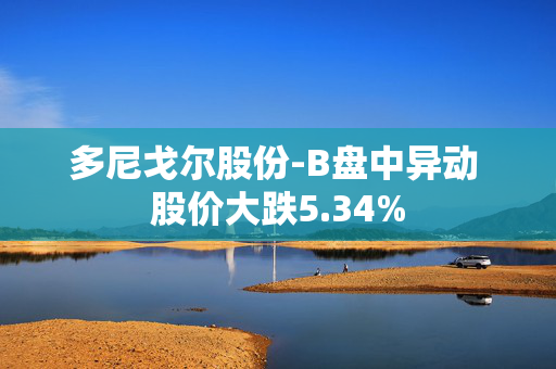 多尼戈尔股份-B盘中异动 股价大跌5.34%