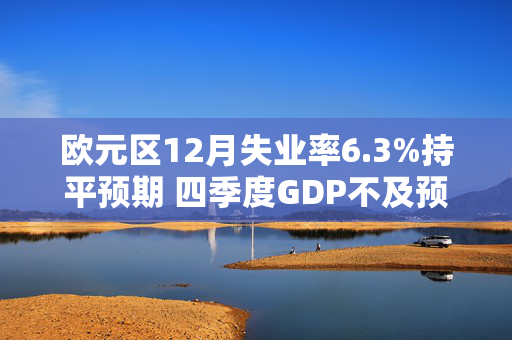 欧元区12月失业率6.3%持平预期 四季度GDP不及预期