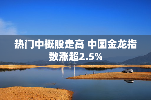 热门中概股走高 中国金龙指数涨超2.5%