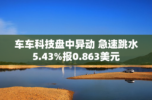 车车科技盘中异动 急速跳水5.43%报0.863美元