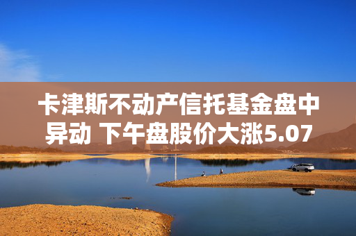 卡津斯不动产信托基金盘中异动 下午盘股价大涨5.07%报30.80美元