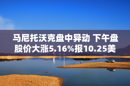 马尼托沃克盘中异动 下午盘股价大涨5.16%报10.25美元