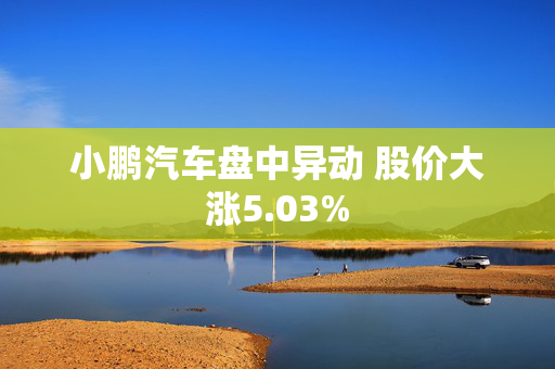 小鹏汽车盘中异动 股价大涨5.03%