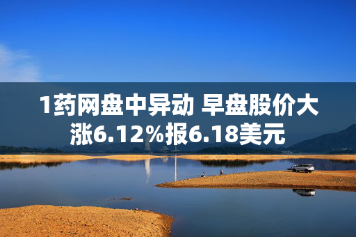 1药网盘中异动 早盘股价大涨6.12%报6.18美元