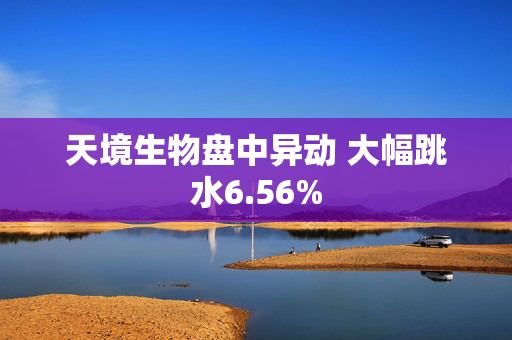 天境生物盘中异动 大幅跳水6.56%