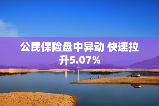 公民保险盘中异动 快速拉升5.07%