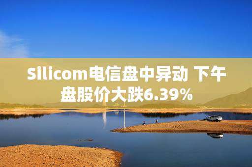 Silicom电信盘中异动 下午盘股价大跌6.39%