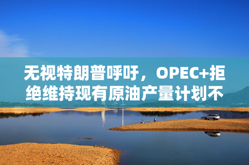 无视特朗普呼吁，OPEC+拒绝维持现有原油产量计划不变