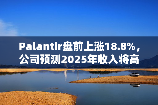 Palantir盘前上涨18.8%，公司预测2025年收入将高于预期