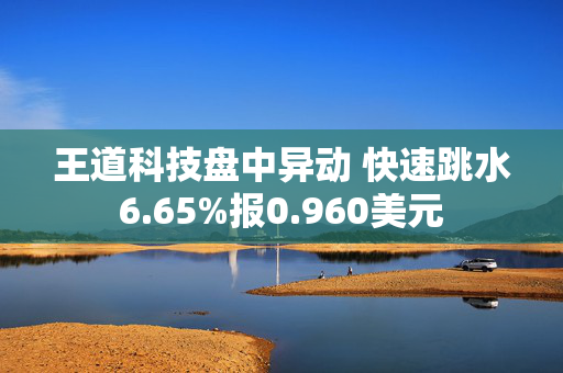 王道科技盘中异动 快速跳水6.65%报0.960美元