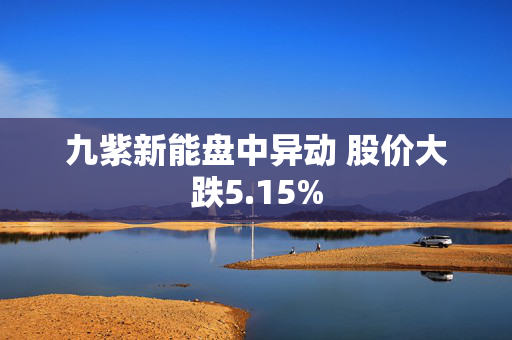 九紫新能盘中异动 股价大跌5.15%